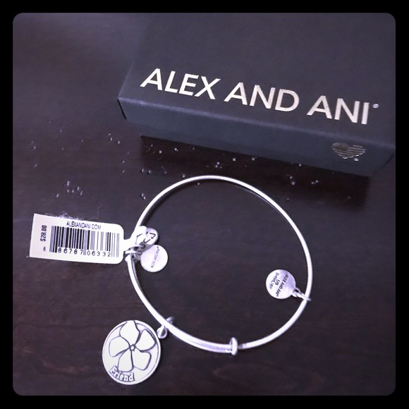 Alex and Ani Jewelry - Alex and Ani Friendship bracelet New with tag